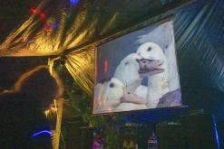 Welcome to the rave 2024 - Marina sound