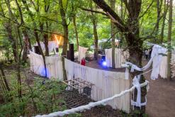 VAN: LESNÍ RAVE I. - Ústí nad Labem (15.6.2024)