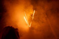 VAN: LESNÍ RAVE I. - Ústí nad Labem (15.6.2024)