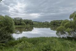 Floorless vol.1 - 14.6.2024