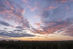 RAVE PARTY - 22.6.2024