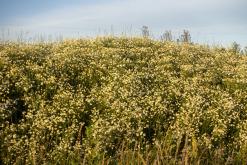 RAVE PARTY - 22.6.2024