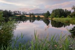 Tribal Ritual II (2024)