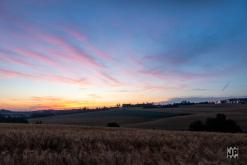 Tribal Ritual II (2024)