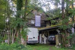 Tribal Ritual II (2024)