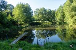 Tribal Ritual II (2024)