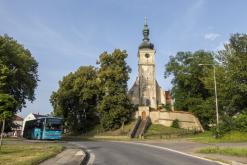 Beats of the bees (29.6.2024)