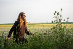 Beats of the bees (29.6.2024)