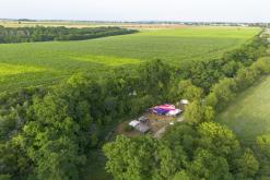 Beats of the bees (29.6.2024)