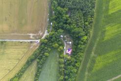 Beats of the bees (29.6.2024)