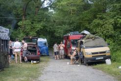 Beats of the bees (29.6.2024)