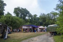 Beats of the bees (29.6.2024)