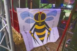 Beats of the bees (29.6.2024)