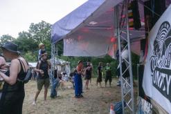 Beats of the bees (29.6.2024)