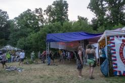 Beats of the bees (29.6.2024)