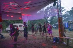 Beats of the bees (29.6.2024)