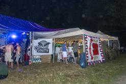 Beats of the bees (29.6.2024)