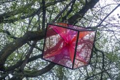 Drumybassy Open Air 2024