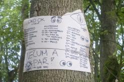 OKO OK - Krásný Les, 27.7.2024