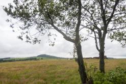 OKO OK - Krásný Les, 27.7.2024