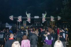 Bass Vultures - 3.8.2024