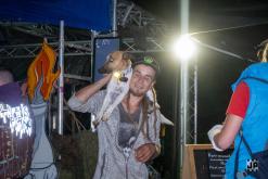 Bass Vultures - 3.8.2024