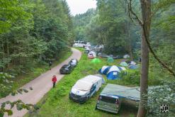 Bass Vultures - 3.8.2024