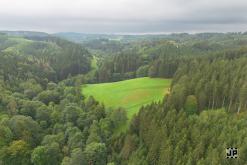 Bass Vultures - 3.8.2024