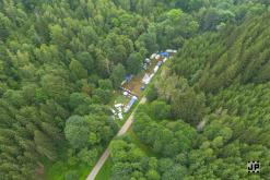 Bass Vultures - 3.8.2024