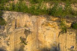 Oktekk - 25th Anniversary party (9.-11.8.2024)