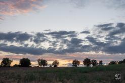 Oktekk - 25th Anniversary party (9.-11.8.2024)