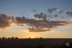 Oktekk - 25th Anniversary party (9.-11.8.2024)