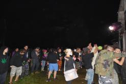 WCA-VIBRATOR SINGLETEKK