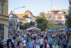 Litoměřické vinobraní 2024