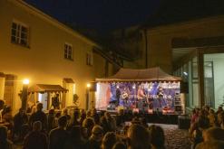 Litoměřické vinobraní 2024