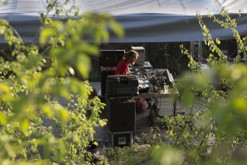 DrumyBassy Open Air 2019 / foto: Jiří Petrák